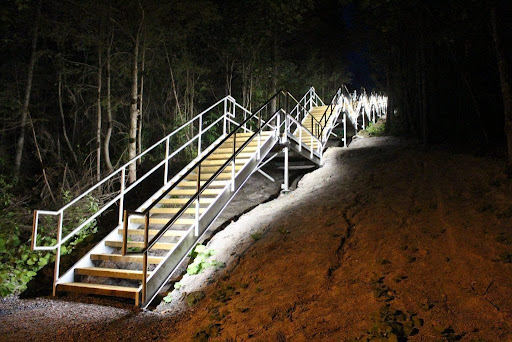 Illuminated boardwalk pathway through forest at night